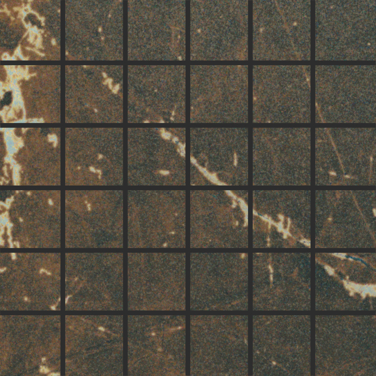 Emperor mosaic